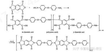 乐鱼leyu科技