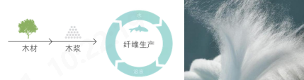 乐鱼leyu科技